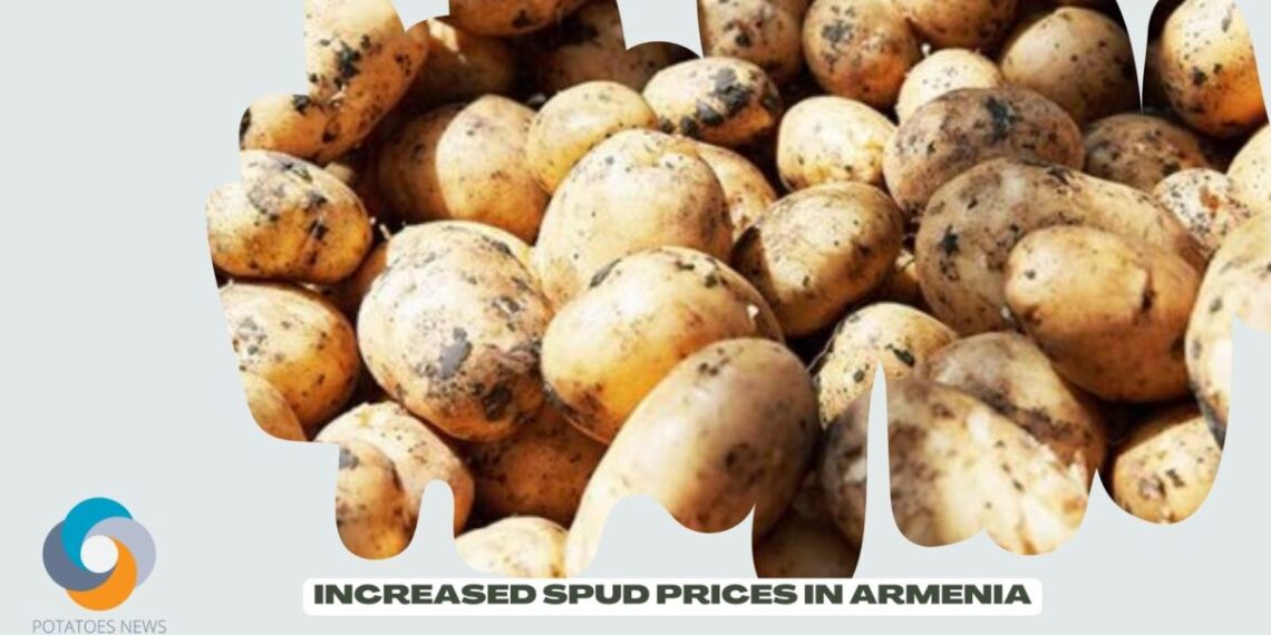 Increased Spud Prices in Armenia