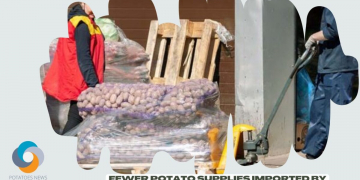 January 2022: Fewer Potato Supplies Imported by Uzbekistan from Pakistan