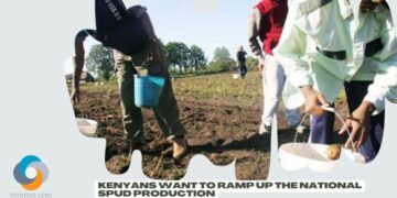 Kenyans Want to Ramp Up the National Spud Production