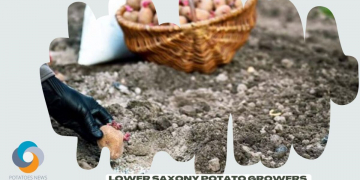 Lower Saxony Potato Growers Started Early Variety Planting