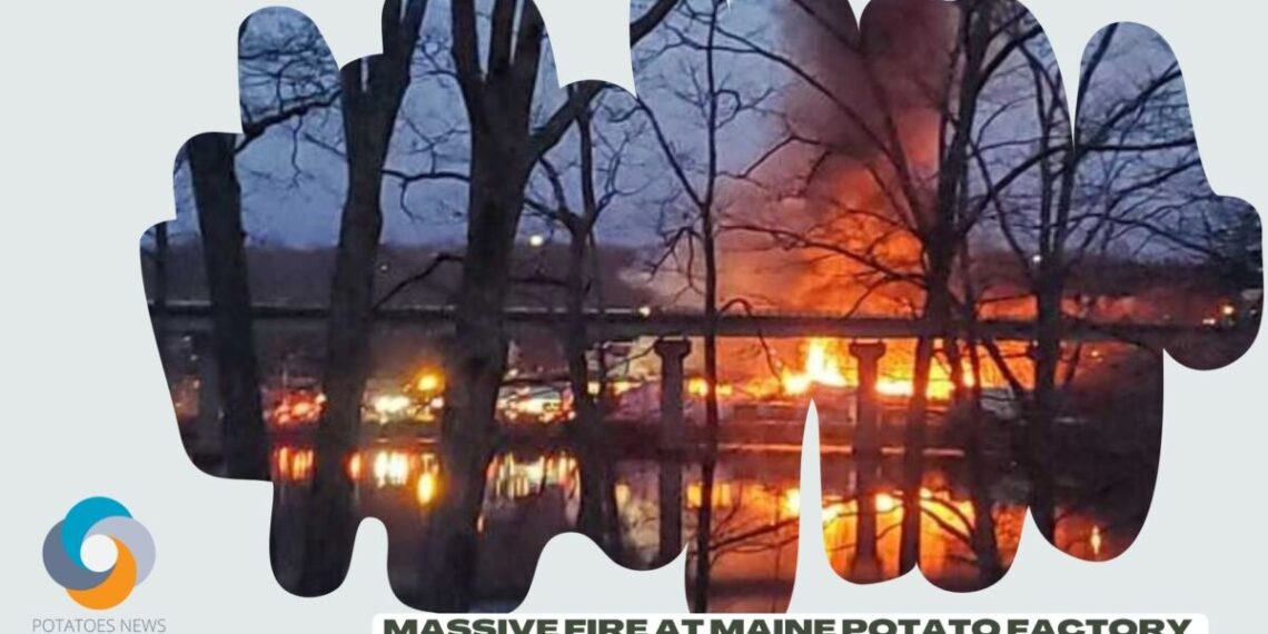 Massive fire at Maine potato factory believed to be caused by fryolator