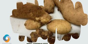 NPC ‘dismayed’ that USDA is allowing PEI table stock potatoes to resume shipments to the U.S.