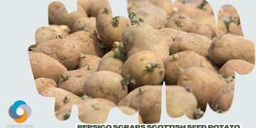 PepsiCo scraps Scottish seed potato exports to Russia