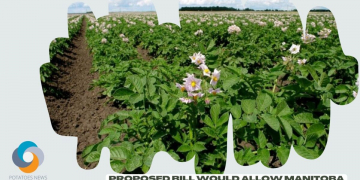 Canada: Proposed bill would allow Manitoba potato, root growers unlimited acres, ability to sell to any buyer