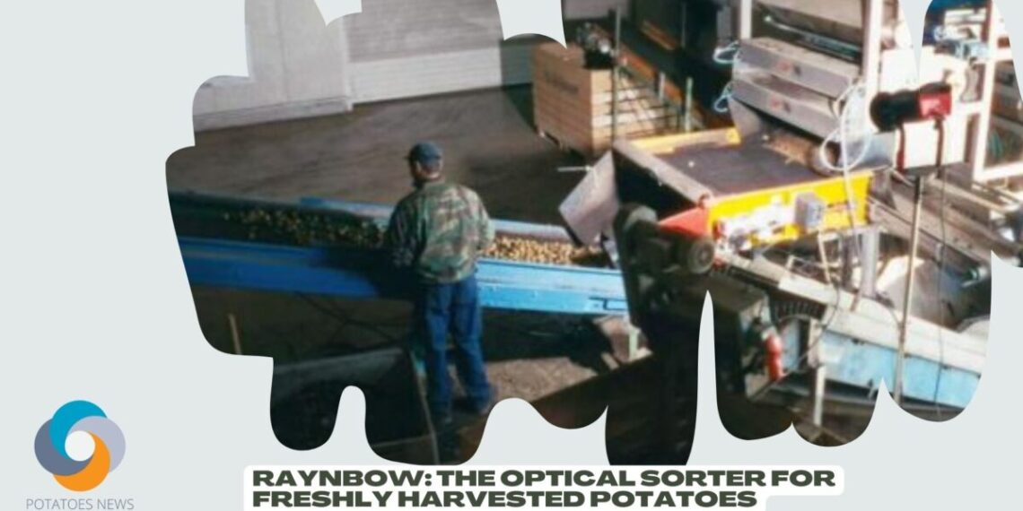 Raynbow The Optical Sorter for Freshly Harvested Potatoes
