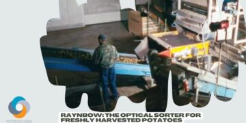 Raynbow: The Optical Sorter for Freshly Harvested Potatoes