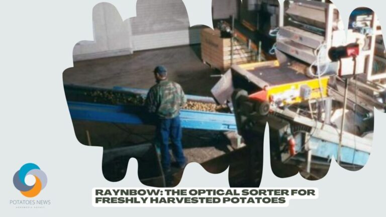 Raynbow The Optical Sorter for Freshly Harvested Potatoes