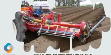 Remember field checks and best practice