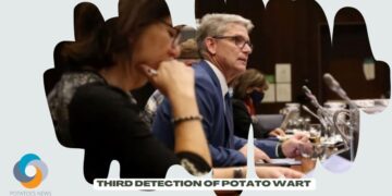 Third detection of potato wart ‘no surprise’, say P.E.I. Potato Board and CFIA