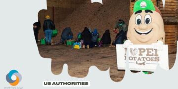 US Authorities Decided That the Trade of PEI Table Stock Potatoes Can be Done Safely