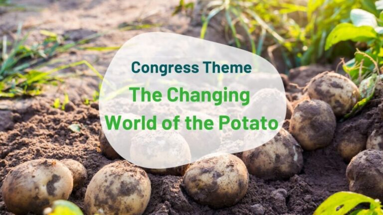 International potato professionals to meet in Ireland during World Potato Congress 17 International potato professionals to meet in Ireland during World Potato Congress