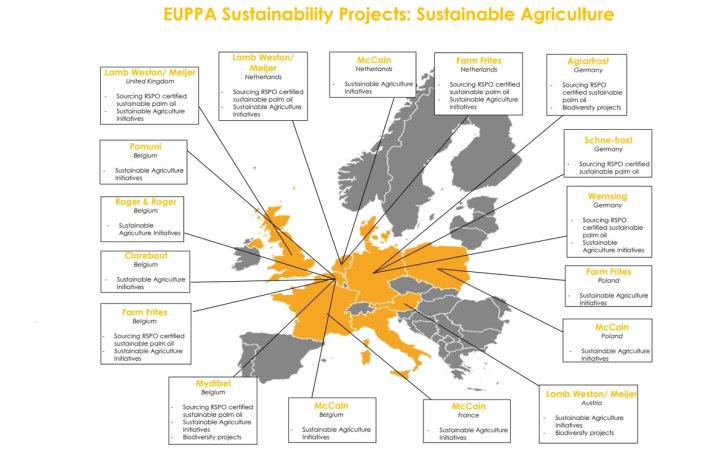 European potato processors put sustainability at centre stage 31 European potato processors put sustainability at centre stage