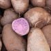 Specialist: Purple potatoes are high in antioxidants