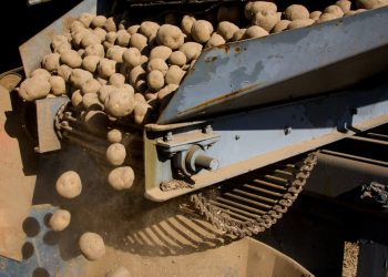 Florida potatoes producers