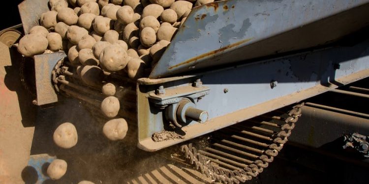 Florida potatoes producers