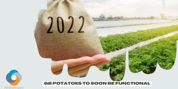 GB Potatoes to Soon Be Functional