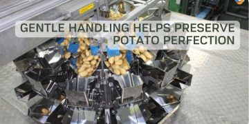 Gentle handling helps preserve potato perfection