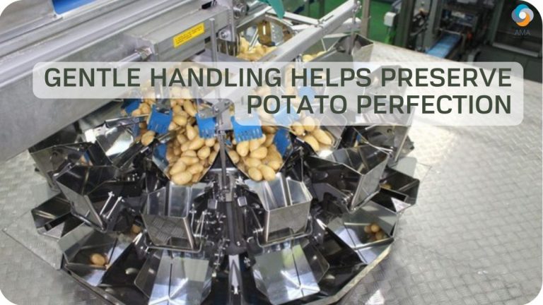 Gentle handling helps preserve potato perfection