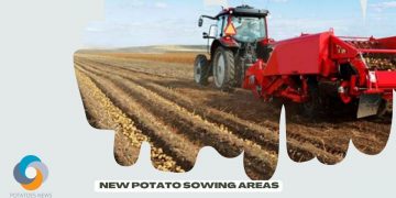 Cartagena and Western Andalusia Maintain the 2021 Early New Potato Sowing Areas