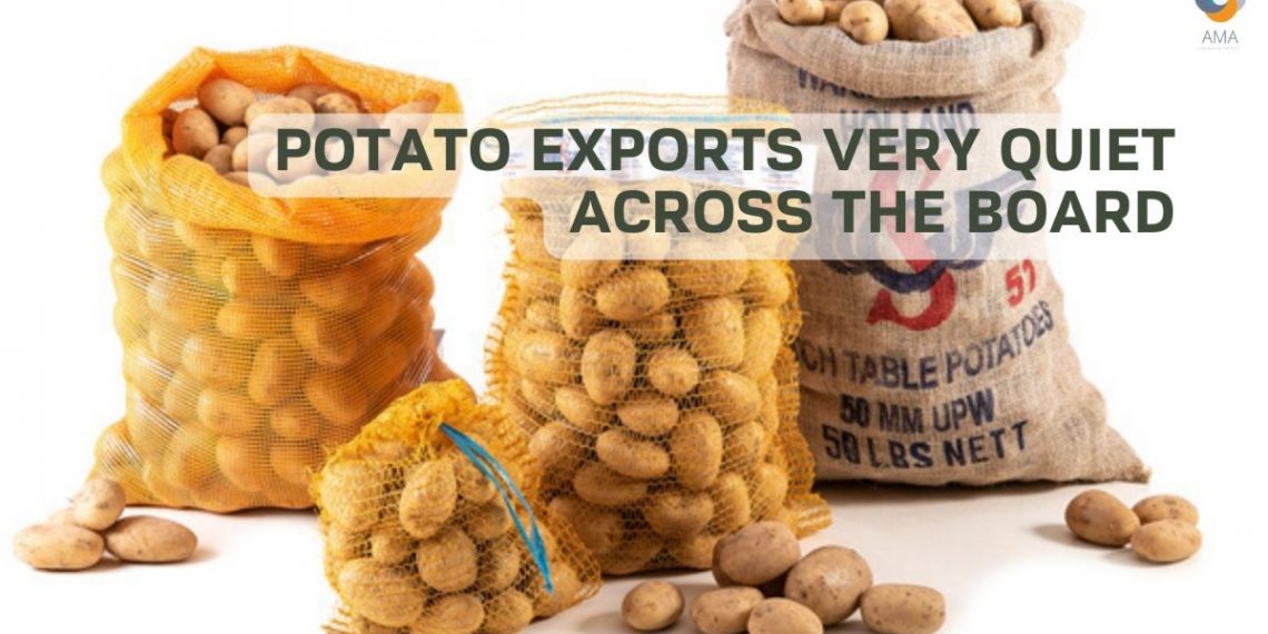 Potato exports very quiet across the board