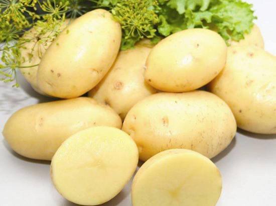 Residents of Sakhalin will be pleased with a new variety of potatoes for them 1 Residents of Sakhalin will be pleased with a new variety of potatoes for them