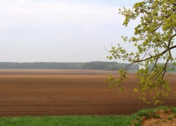 THE SOWING CAMPAIGN IN STAVROPOL IS GOING ON WITHOUT FAILURE