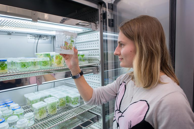 The Ministry of Education and Science of Russia was given the authority to coordinate research in the field of seed production 6 The Ministry of Education and Science of Russia was given the authority to coordinate research in the field of seed production
