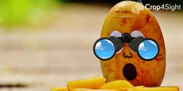 Innovative toolkit boosts production efficiency Crop4Sight