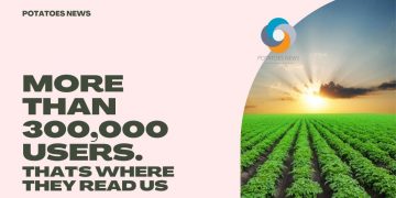 TOP 150 CITIES WHERE THE BEST POTATO APP IS READ