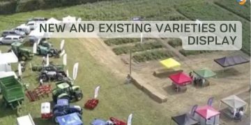 New and existing varieties on display
