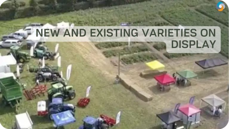 New and existing varieties on display 10 New and existing varieties on display