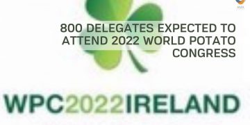 800 delegates expected to attend 2022 World Potato Congress