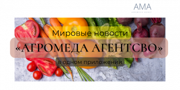 Мировые новости на русском языке в одном приложении