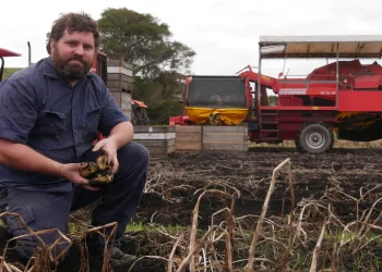 Potato farmers