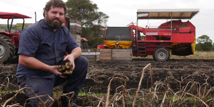 Potato farmers