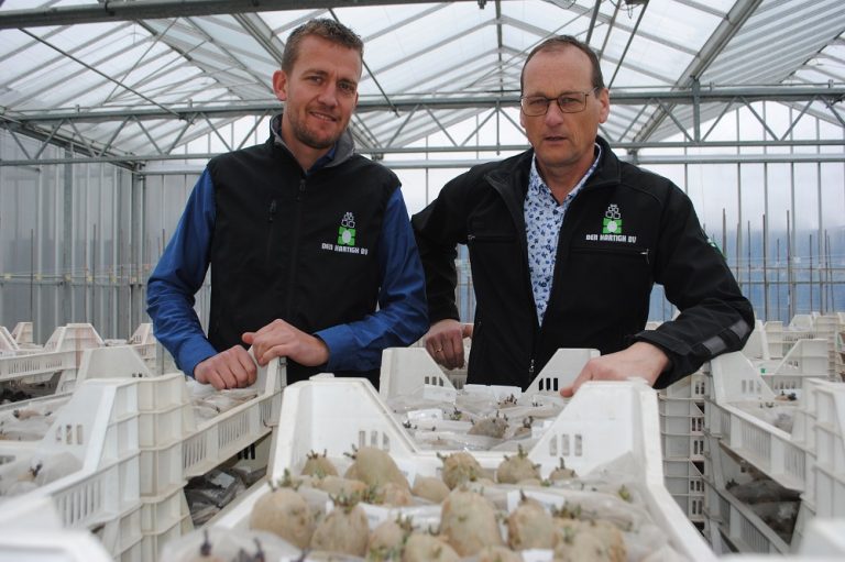 “Less risks and good returns for the grower” 46 “Less risks and good returns for the grower”