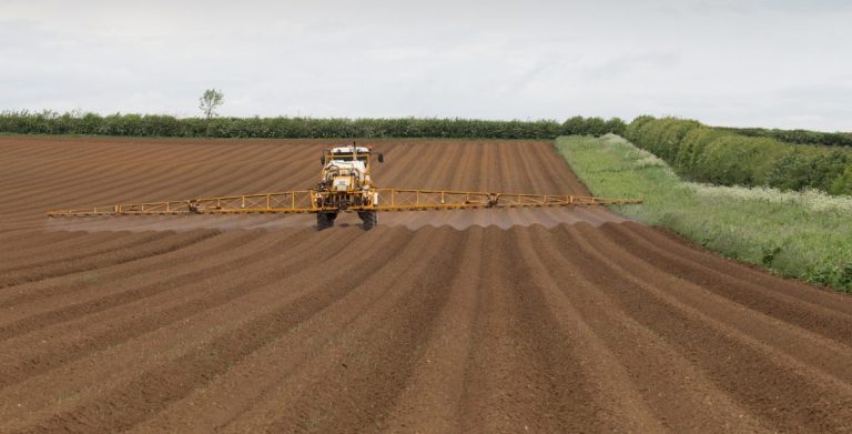 Research studies herbicide damage to potatoes caused by heavy rainfall 37 Research studies herbicide damage to potatoes caused by heavy rainfall