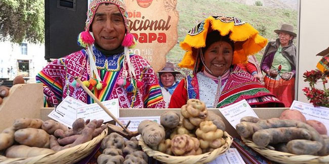 Peru celebrates Potato Day