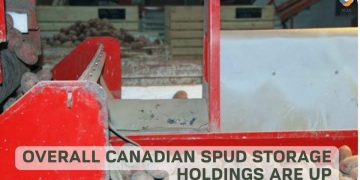 Overall Canadian Spud Storage Holdings are Up