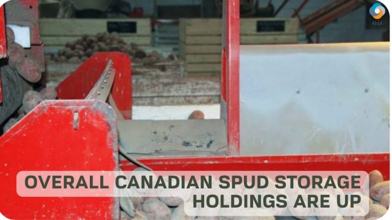 Overall Canadian Spud Storage Holdings are Up