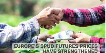 Europe’s Spud Futures Prices Have Strengthened