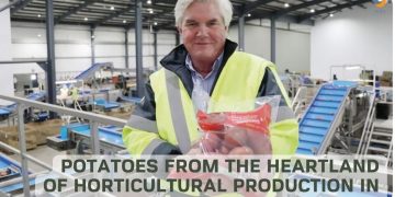 Potatoes from the heartland of horticultural production in Ireland