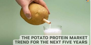 The Potato Protein Market Trend for the Next Five Years