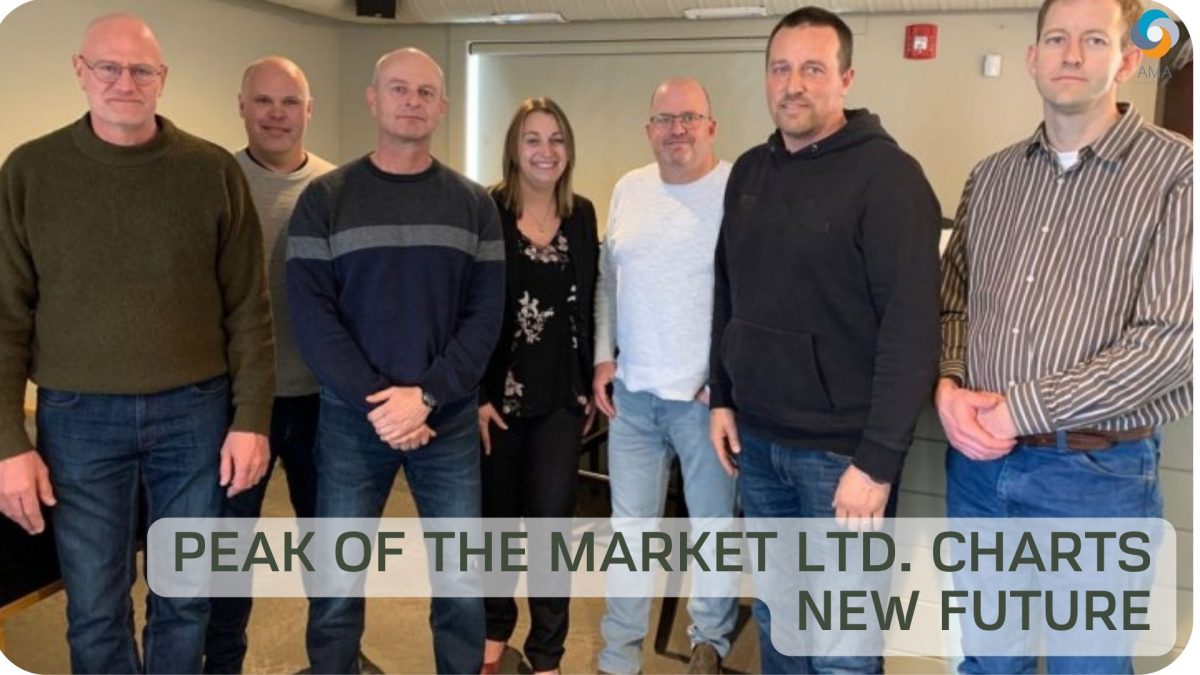 Peak of the Market Ltd. 차트 새로운 미래