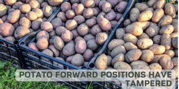 Potato Forward Positions Have Tampered