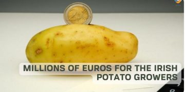 Millions of Euros for The Irish Potato Growers