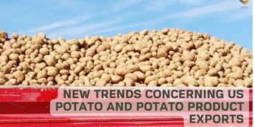 New Trends Concerning US Potato and Potato Product Exports