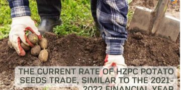 The Current Rate of HZPC Potato Seeds Trade, similar to the 2021-2022 Financial Year
