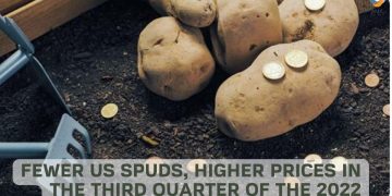 Fewer US Spuds, Higher Prices in the Third Quarter of the 2022 Marketing Year