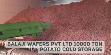Balaji wafers pvt Ltd 10000 ton Potato cold storage